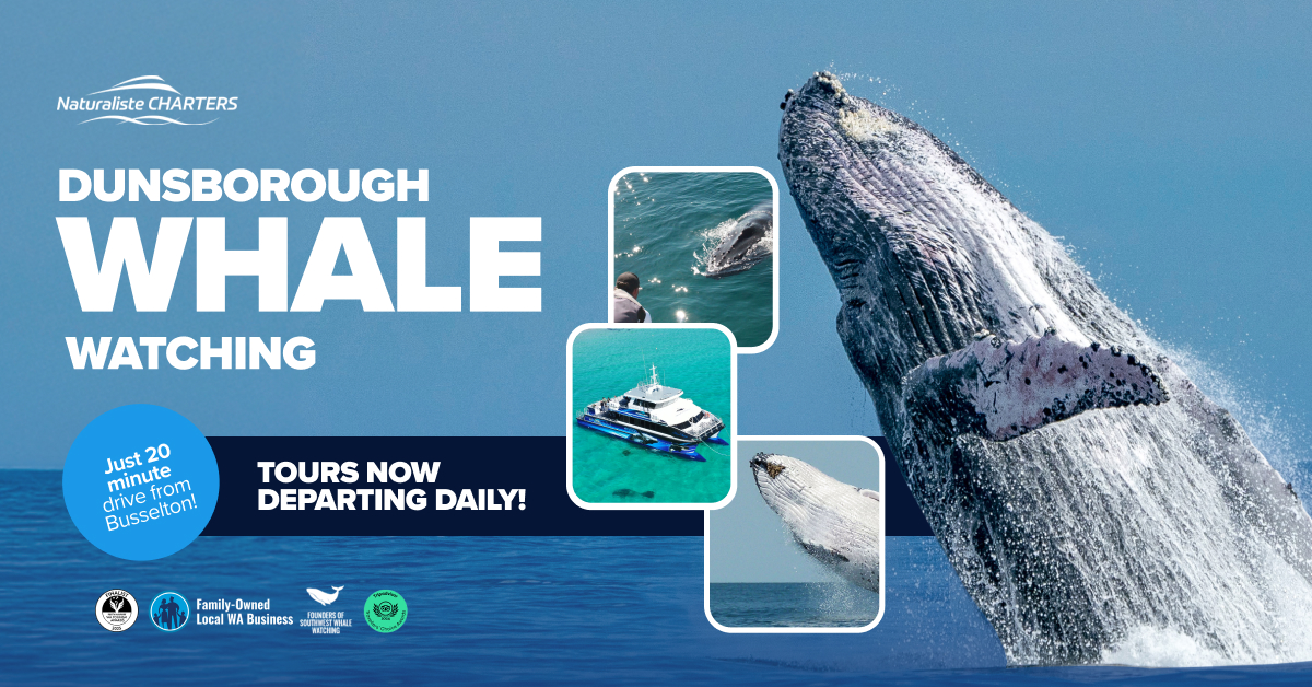 Whale Watching Dunsborough