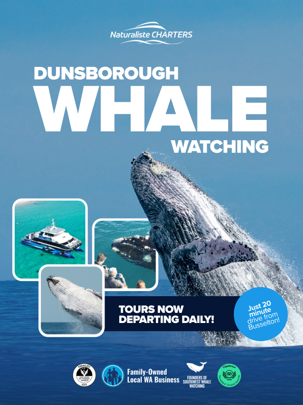 Whale Watching Dunsborough